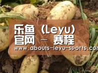 产品展示标题2