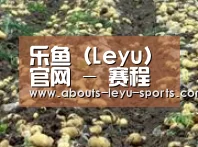 种植基地八(图1)