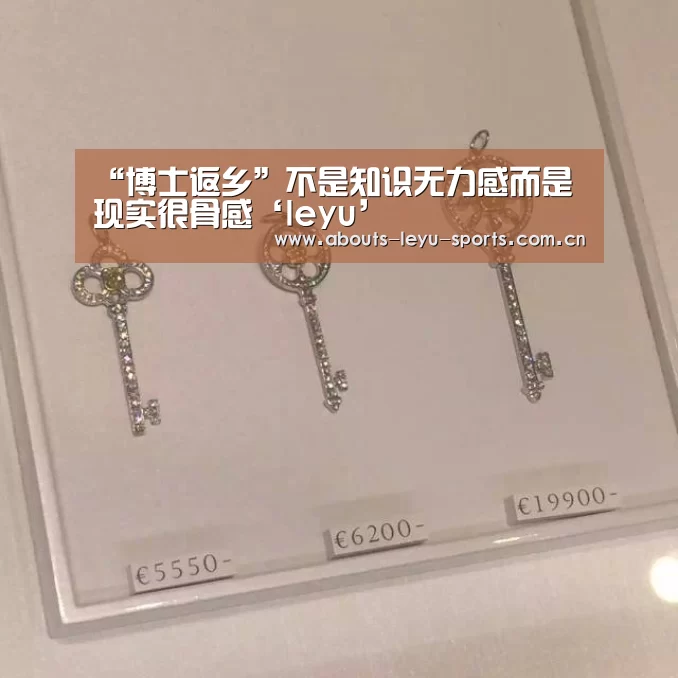 “博士返乡”不是知识无力感而是现实很骨感‘leyu’(图3) “博士返乡”不是知识无力感而是现实很骨感‘leyu’(图3)