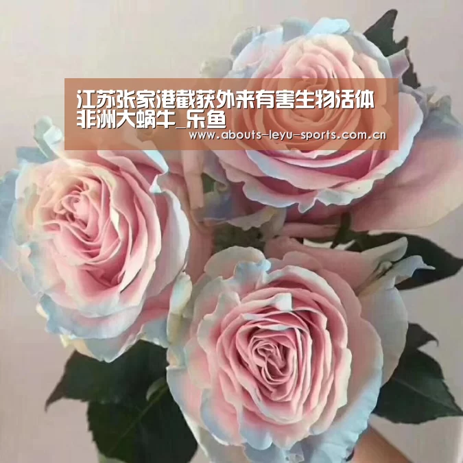 江苏张家港截获外来有害生物活体非洲大蜗牛_乐鱼(图3)