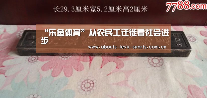 “乐鱼体育”从农民工迁徙看社会进步(图1) “乐鱼体育”从农民工迁徙看社会进步(图1)