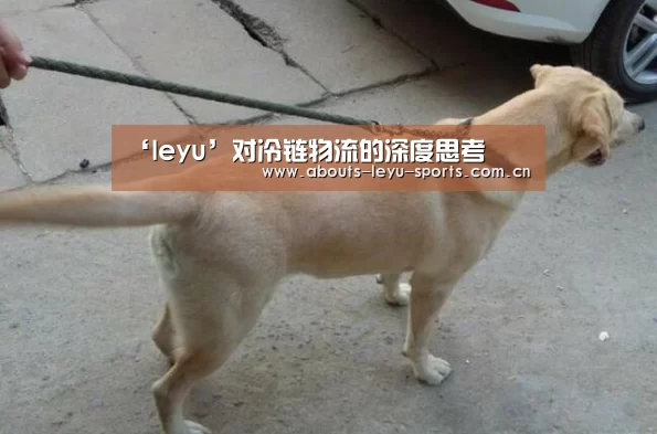 乐鱼
