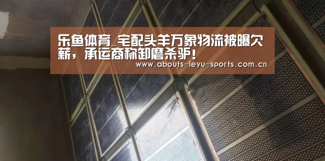 乐鱼